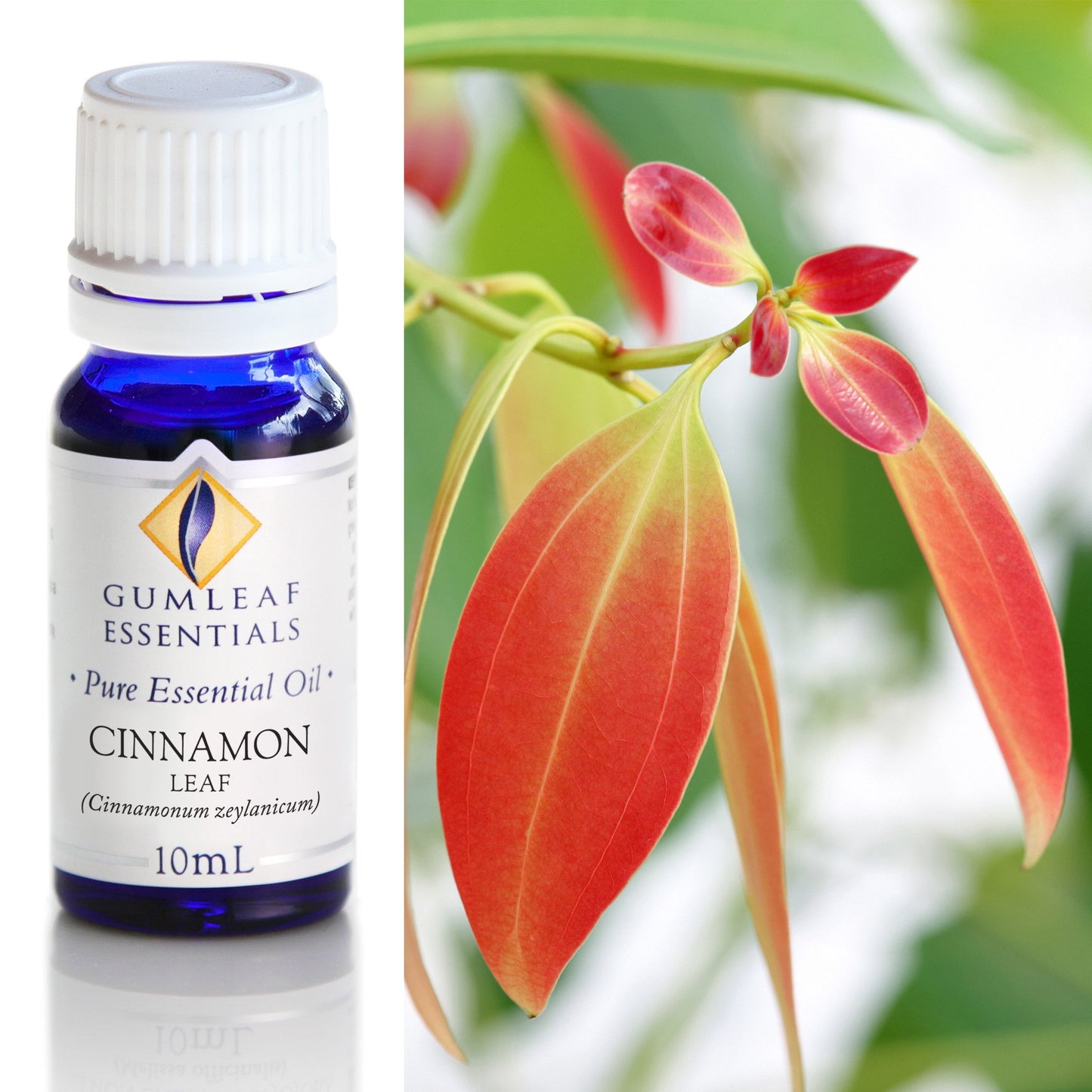 Gumleaf Essentials - Essential Oils 10ml