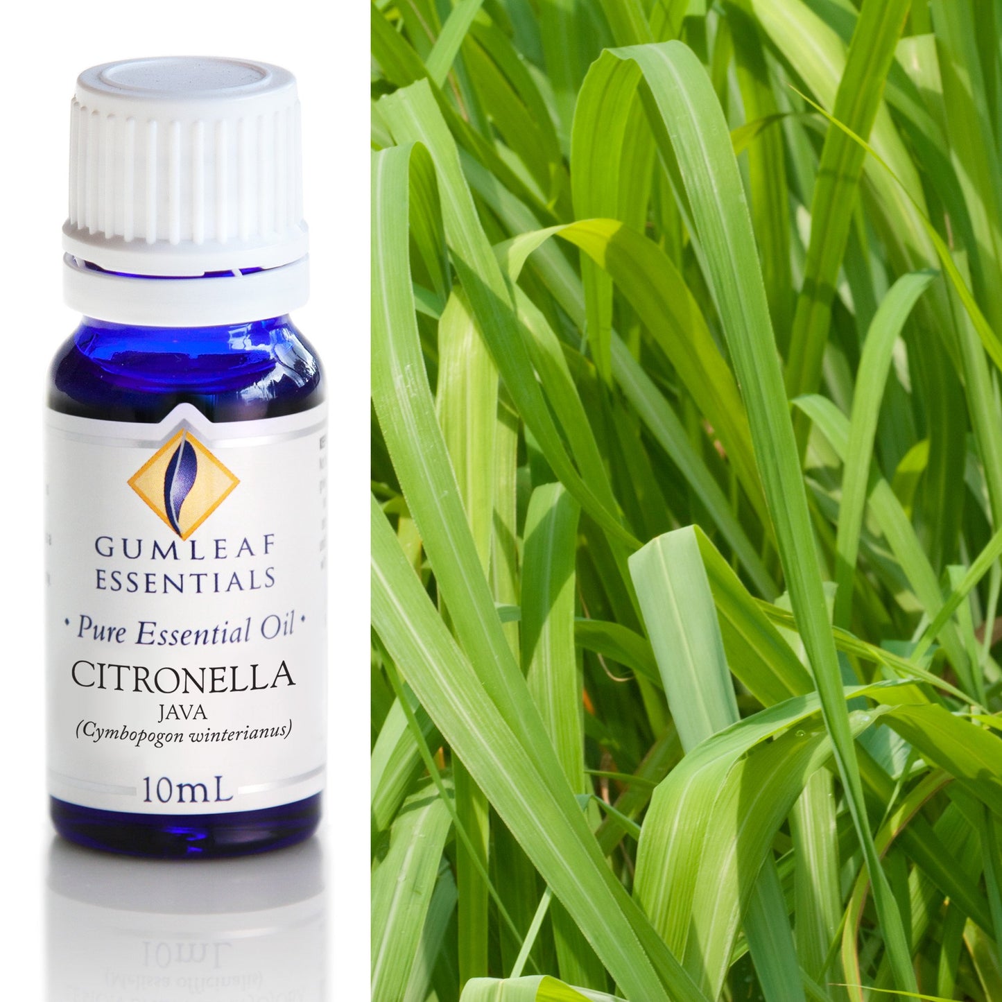 Gumleaf Essentials - Essential Oils 10ml