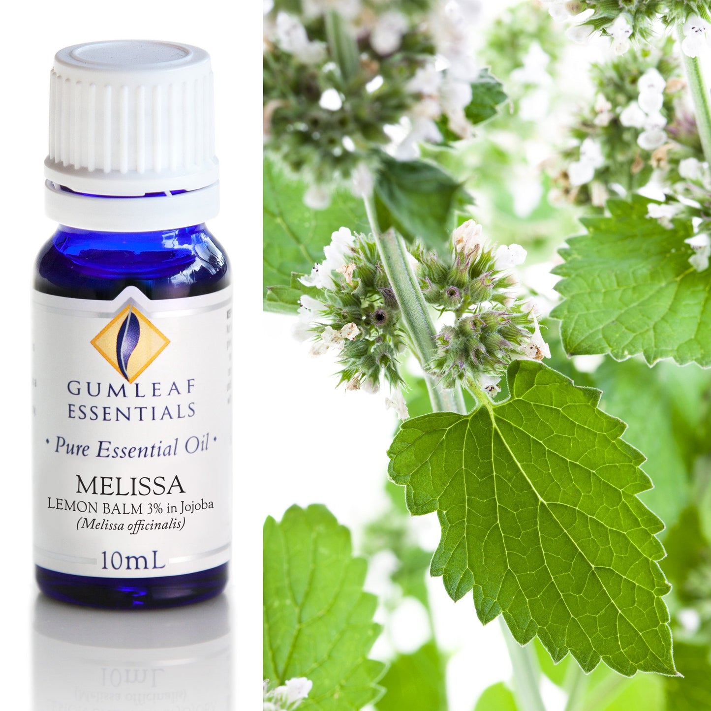 Gumleaf Essentials - Essential Oils 10ml
