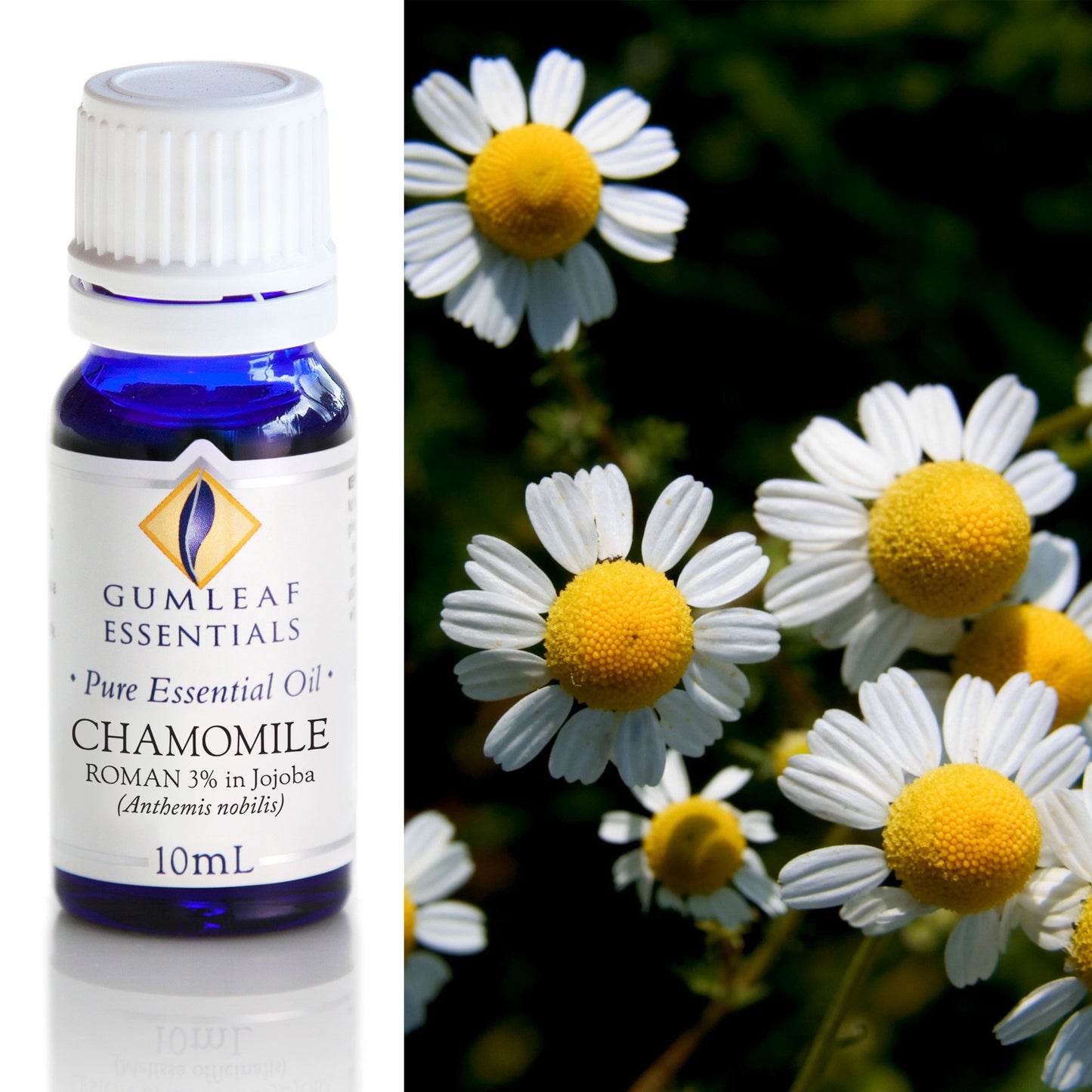 Gumleaf Essentials - Essential Oils 10ml