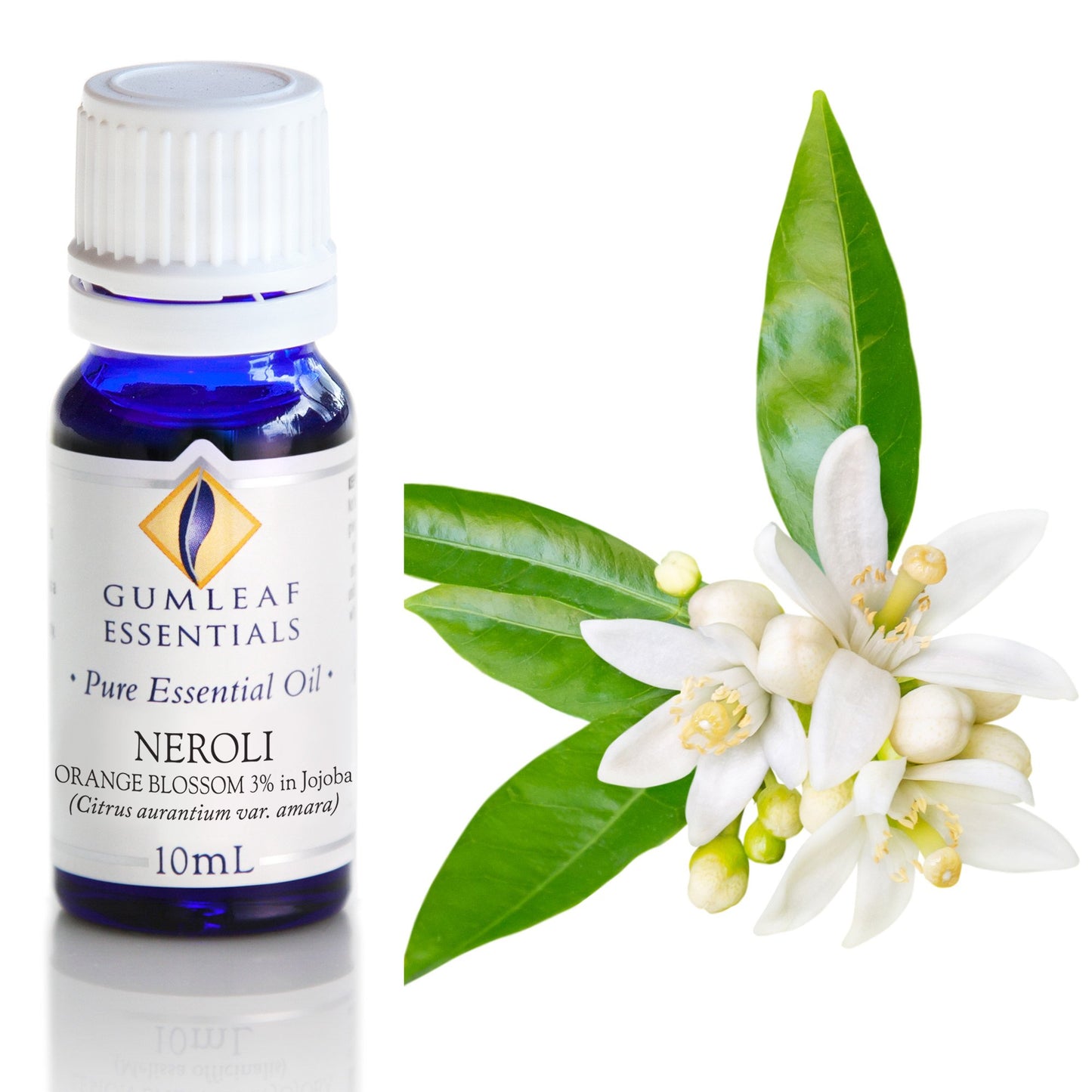 Gumleaf Essentials - Essential Oils 10ml