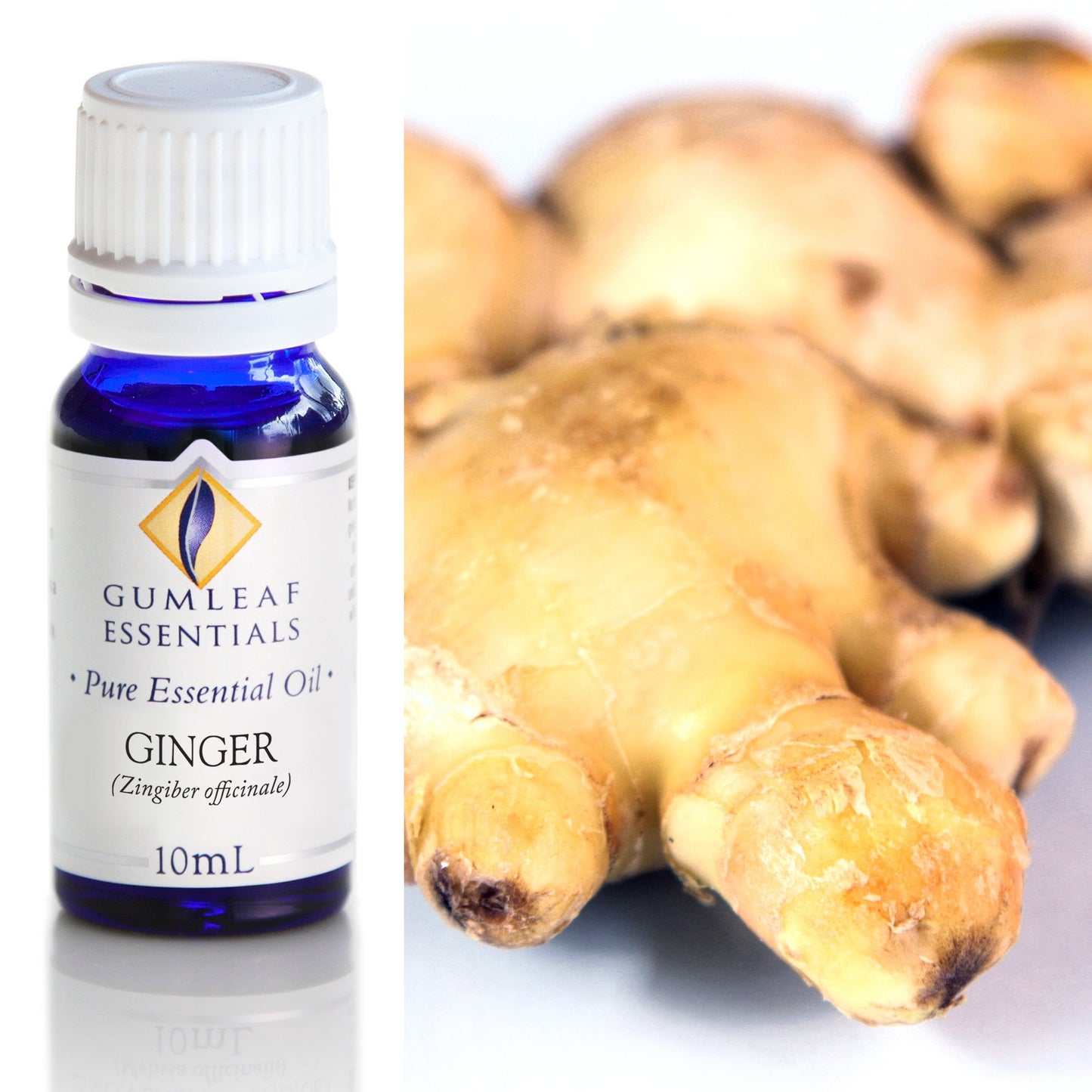 Gumleaf Essentials - Essential Oils 10ml