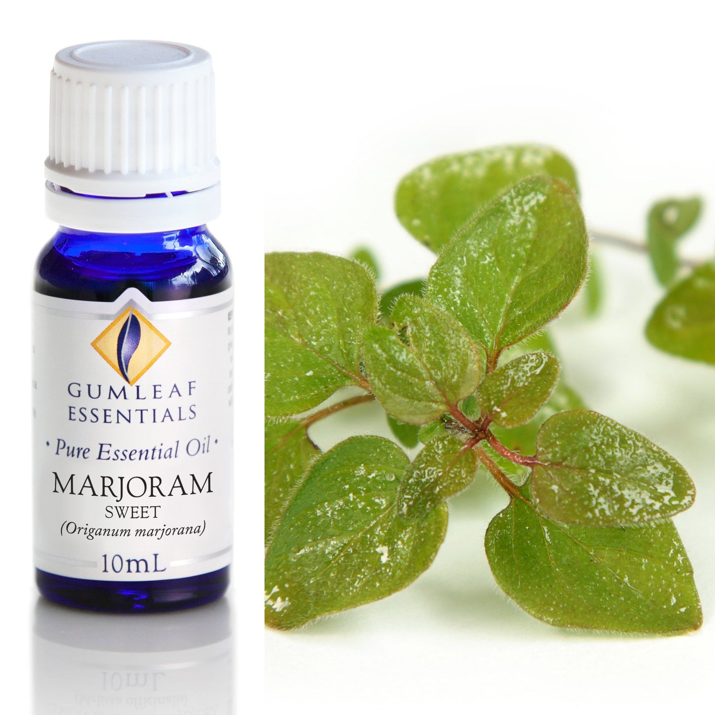 Gumleaf Essentials - Essential Oils 10ml
