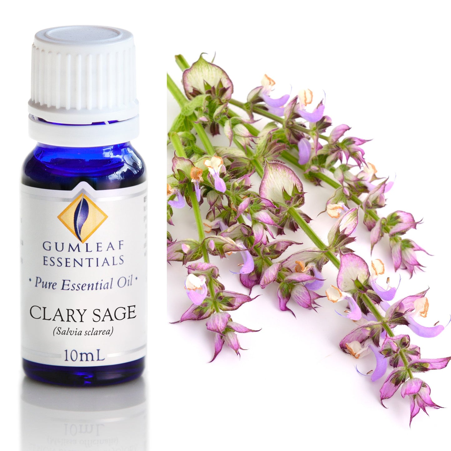 Gumleaf Essentials - Essential Oils 10ml