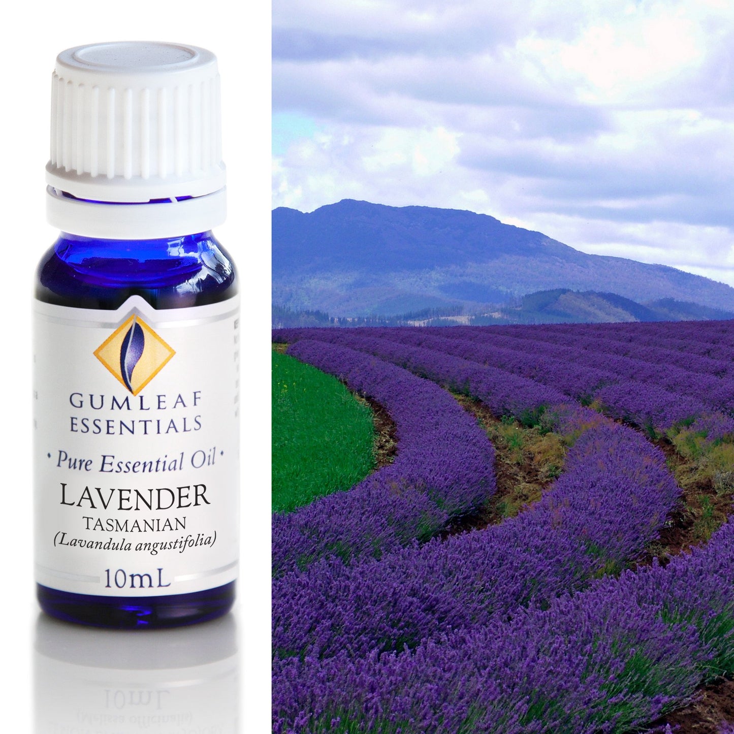 Gumleaf Essentials - Essential Oils 10ml