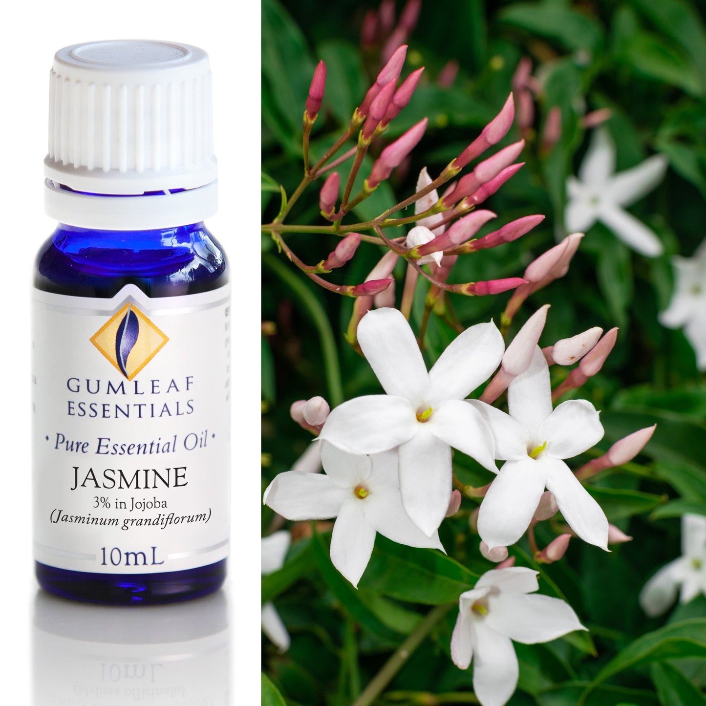 Gumleaf Essentials - Essential Oils 10ml