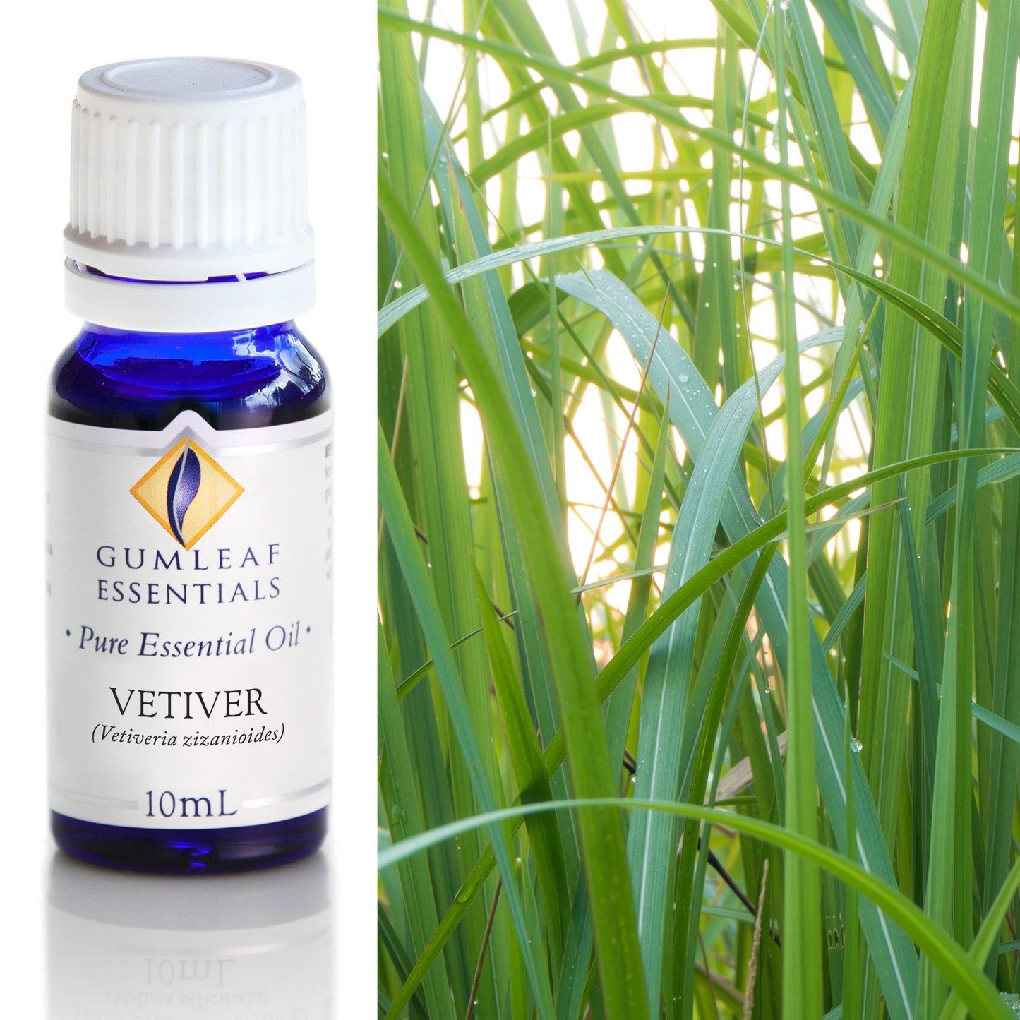 Gumleaf Essentials - Essential Oils 10ml