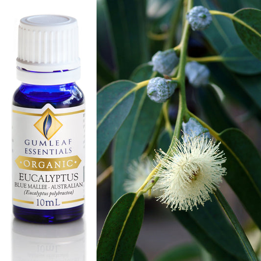 Gumleaf Essentials - Organic Essential Oils