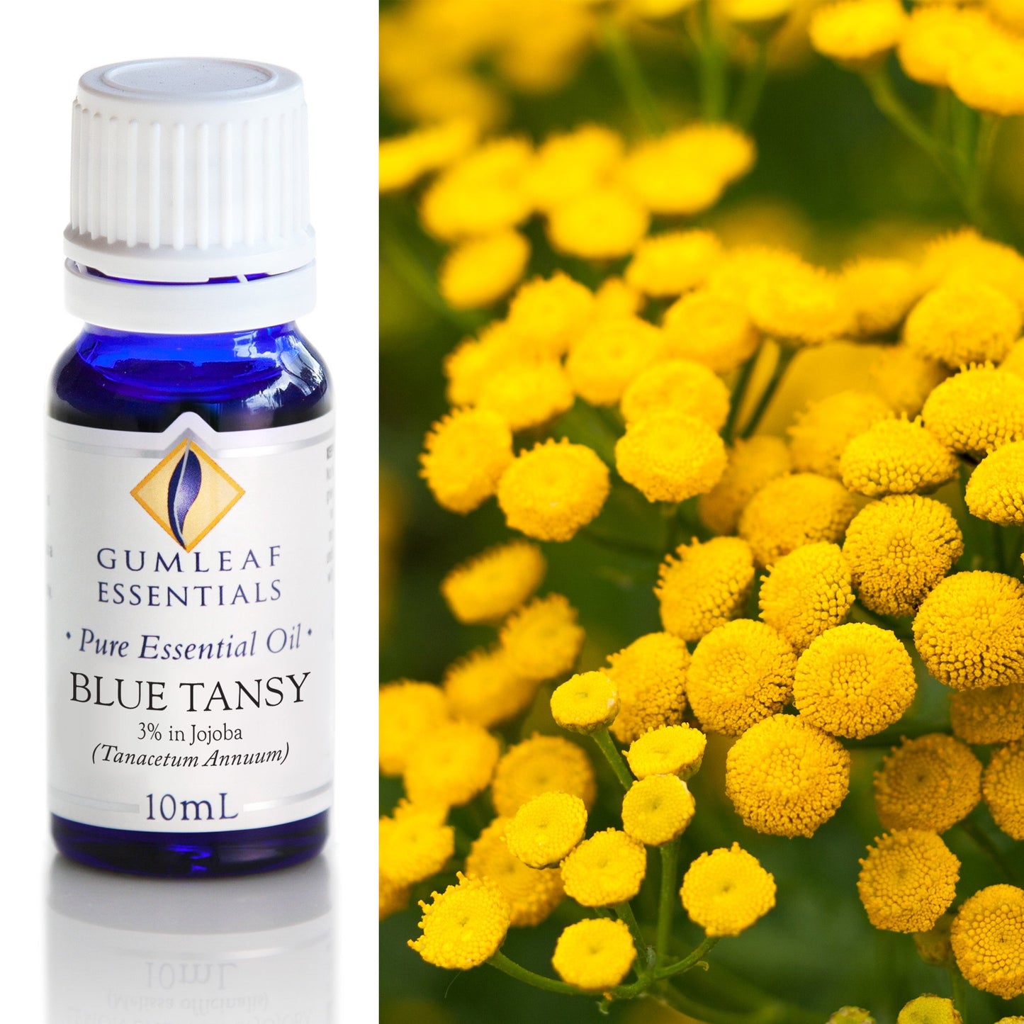 Gumleaf Essentials - Essential Oils 10ml