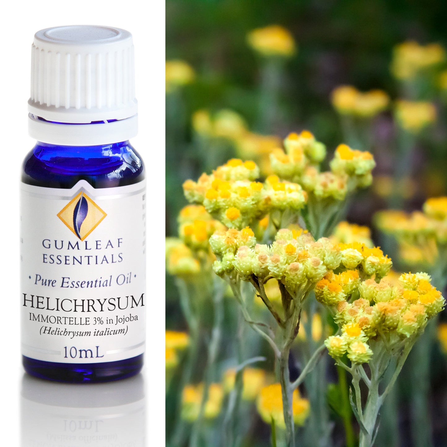 Gumleaf Essentials - Essential Oils 10ml