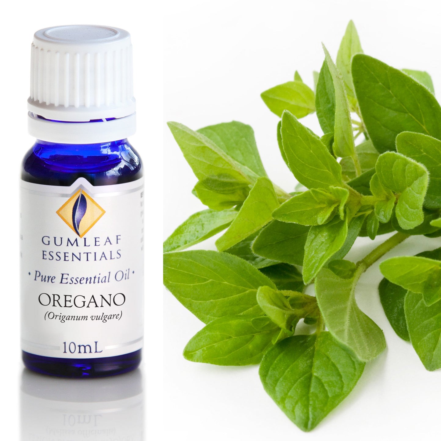 Gumleaf Essentials - Essential Oils 10ml