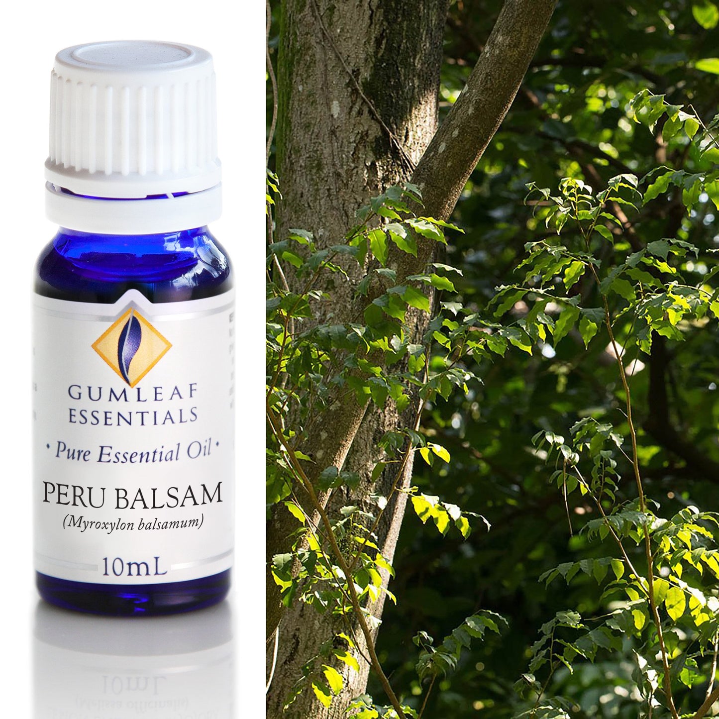 Gumleaf Essentials - Essential Oils 10ml