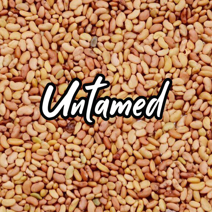 Untamed Health - Alfalfa Sprouting Seeds