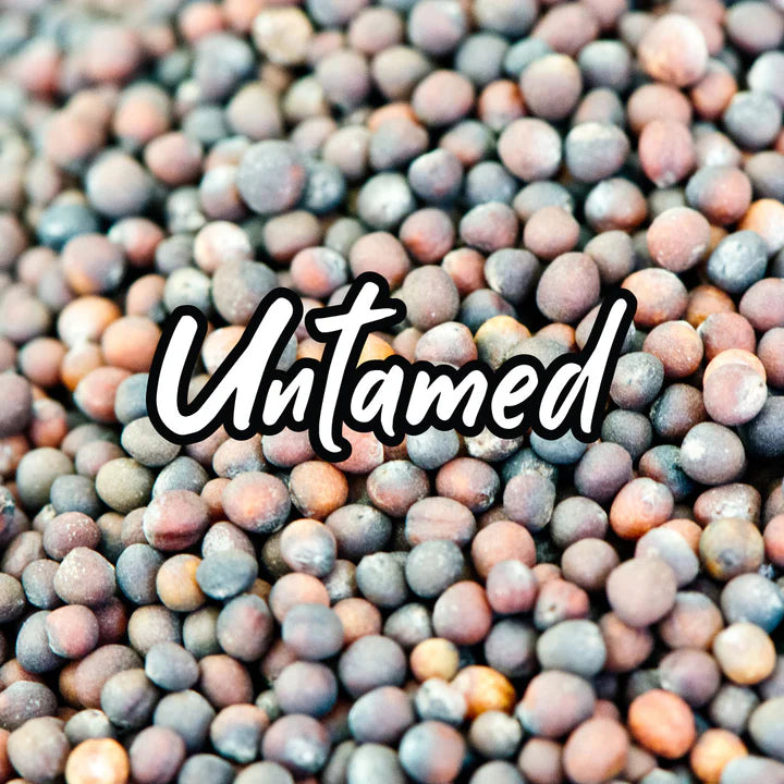 Untamed Health - Kale Sprouting Seeds