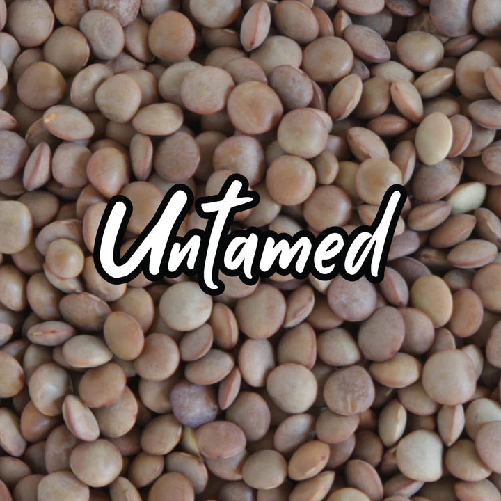 Untamed Health - Lentil Sprouting Seeds