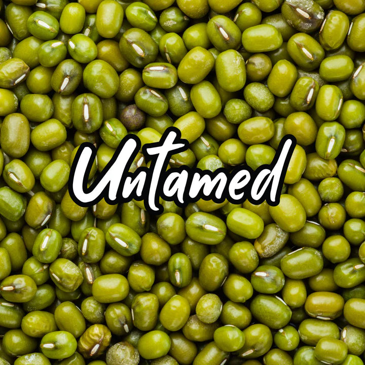 Untamed Health - Mung Beans Sprouting Seeds