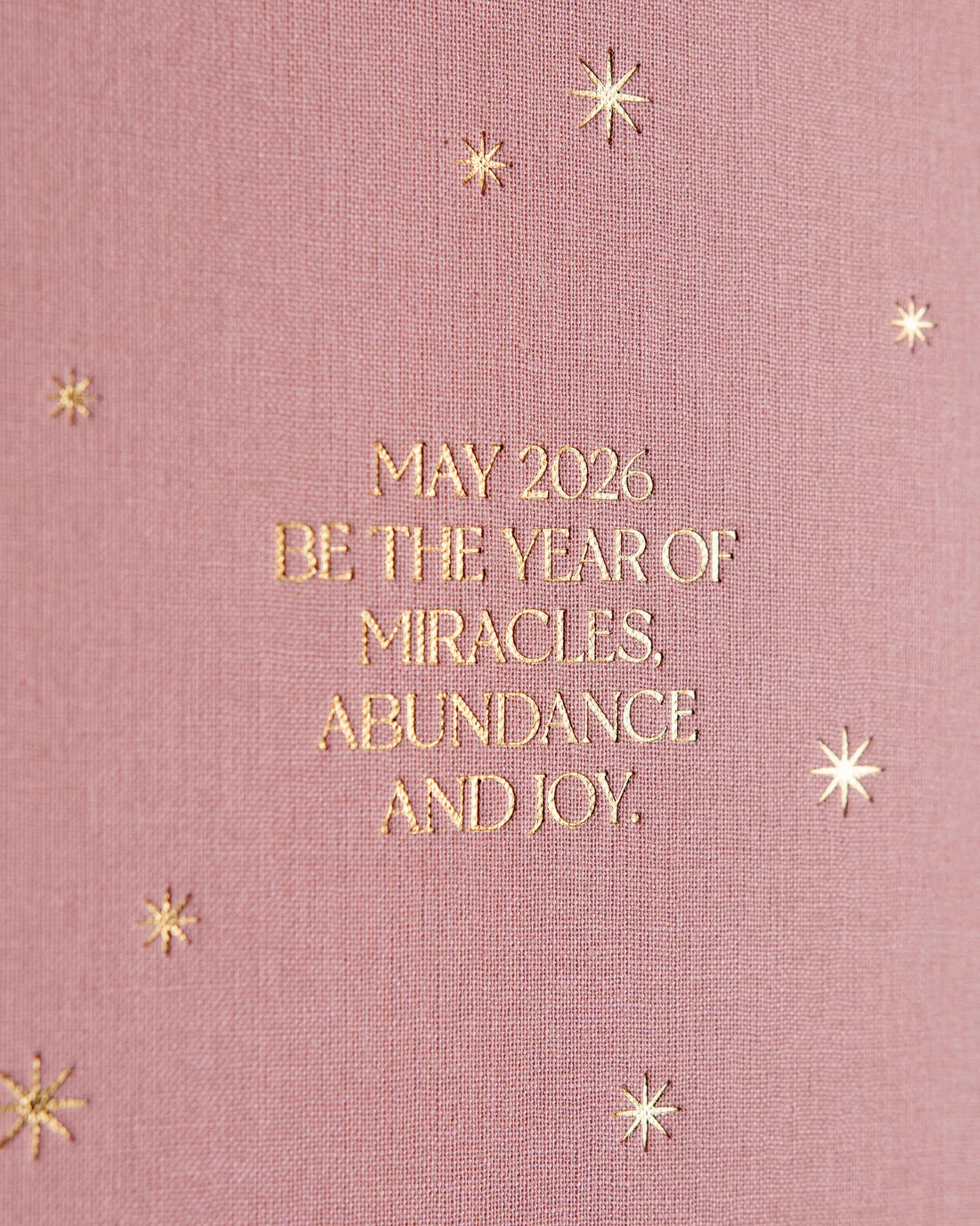 Dreamy Moons - 2026 Daily Planner (Vintage Rose)