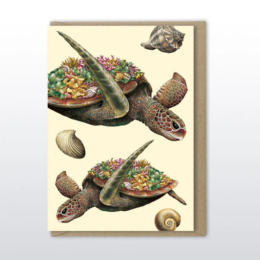 Marini Ferlazzo - Green Sea Turtle Greeting Card