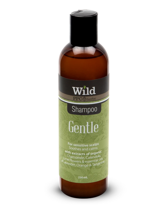 Wild - Gentle Shampoo