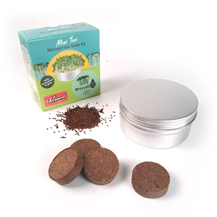 Untamed Health - Mini Tini Broccoli Microgreens Kit