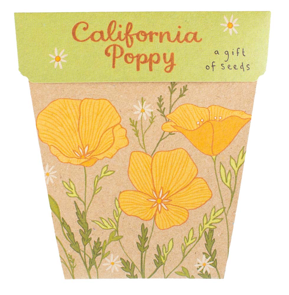 Sow 'n Sow Gift Of Seeds