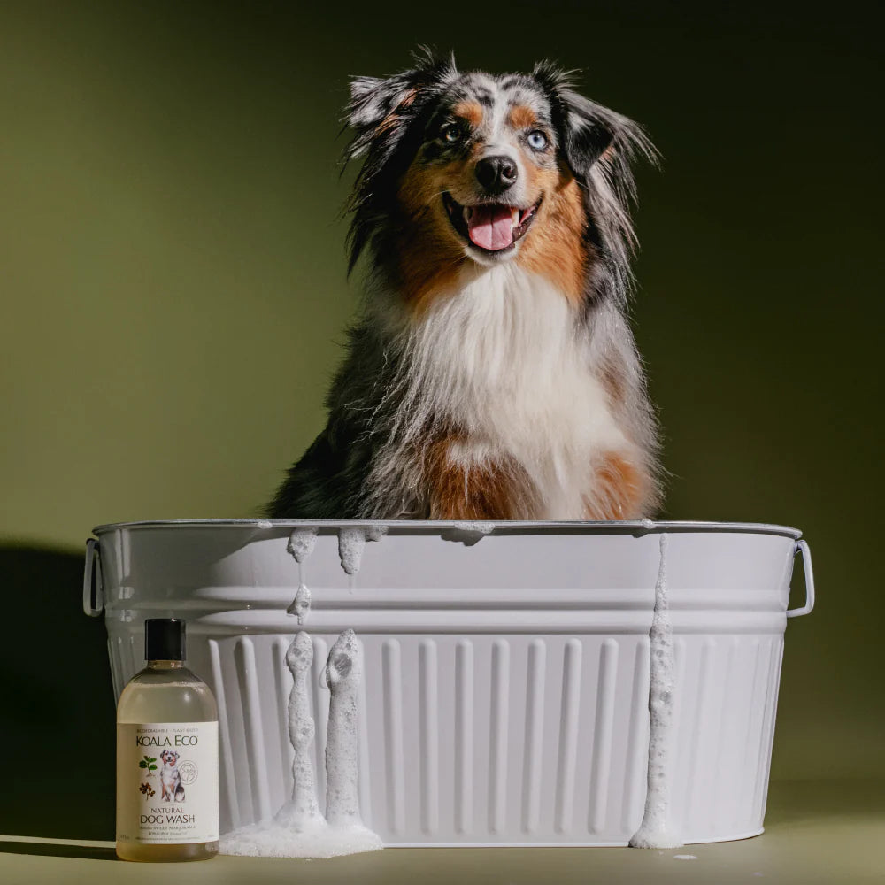 Koala Eco Dog Wash