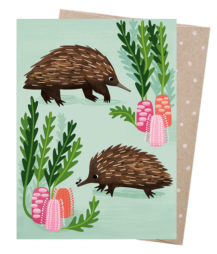 Earth Greetings - Greeting A5 Cards | Short-beaked Echidnas