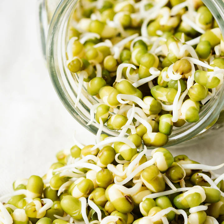 Untamed Health - Mung Beans Sprouting Seeds