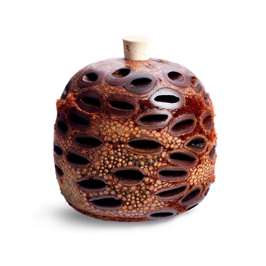 Essentially Australia - Banksia Pod Aroma Diffuser
