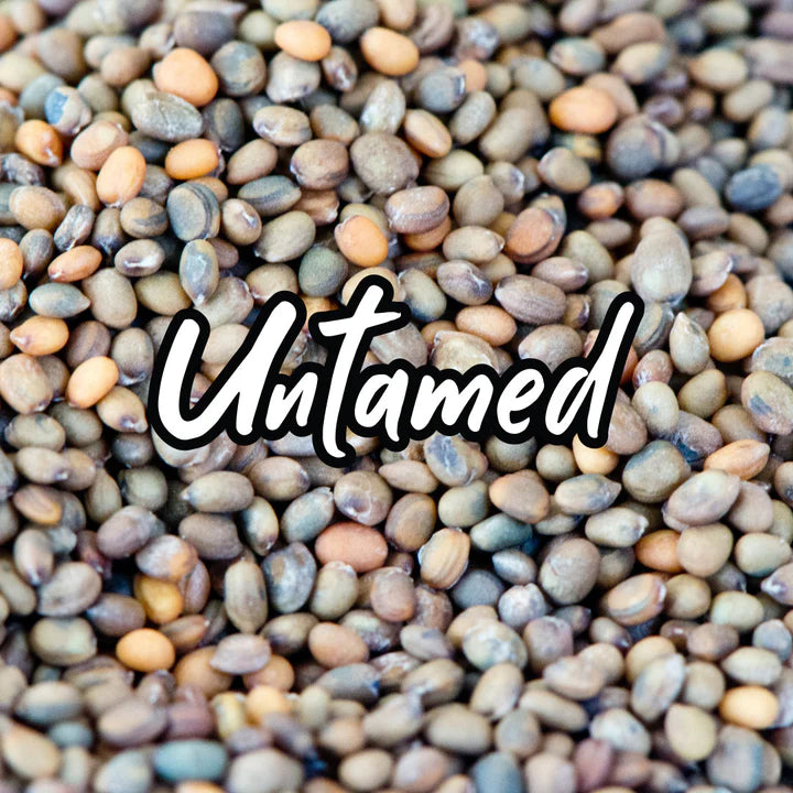 Untamed Health - Radish Red Rambo Sprouting Seeds