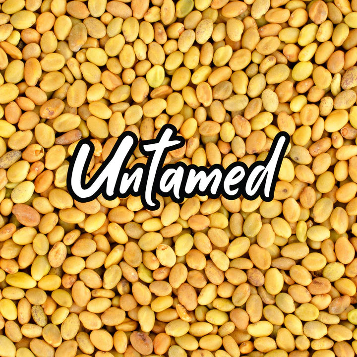 Untamed Health - Red Clover Sprouting Seeds