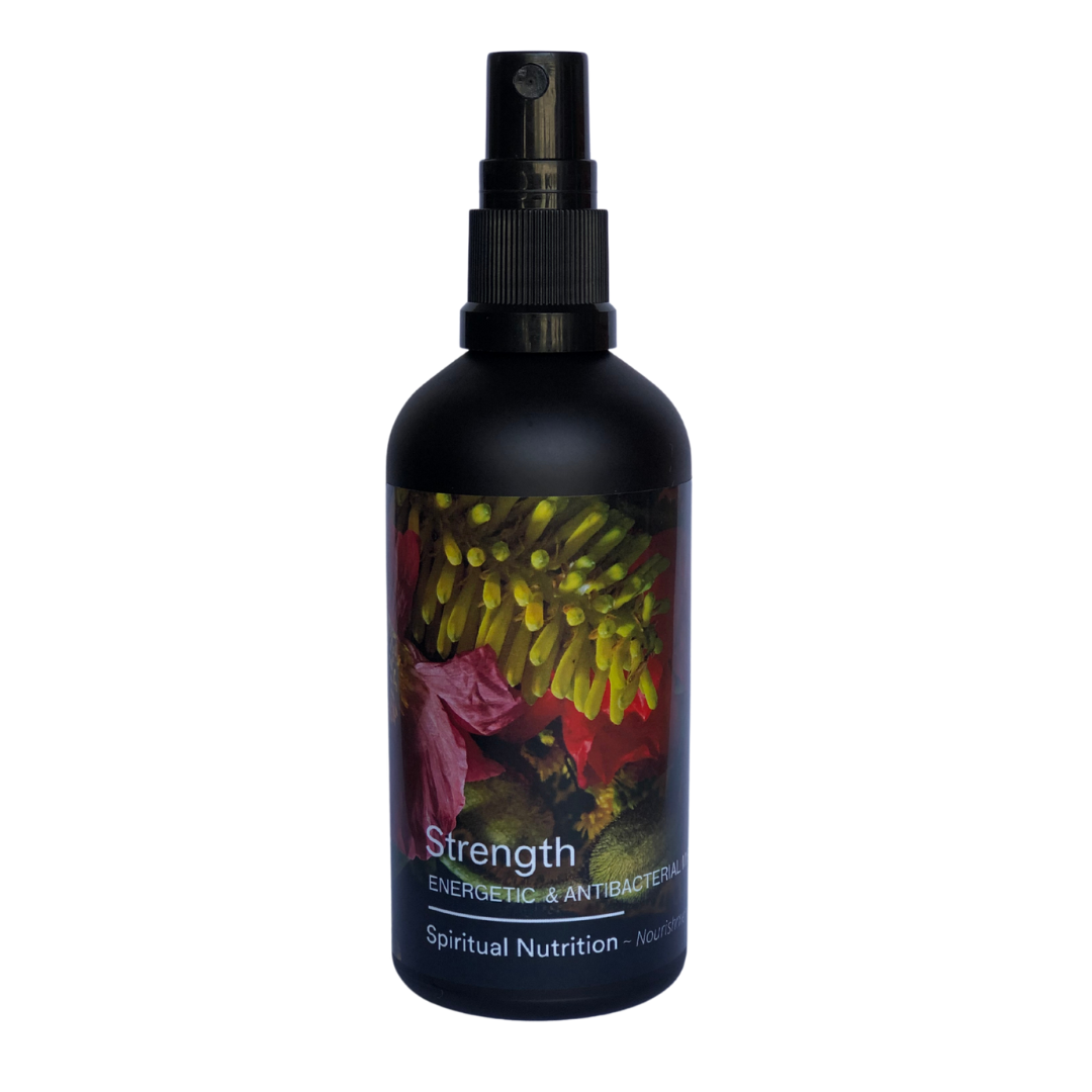 Spiritual Nutrition - Strength Energetic & Antibacterial Mist
