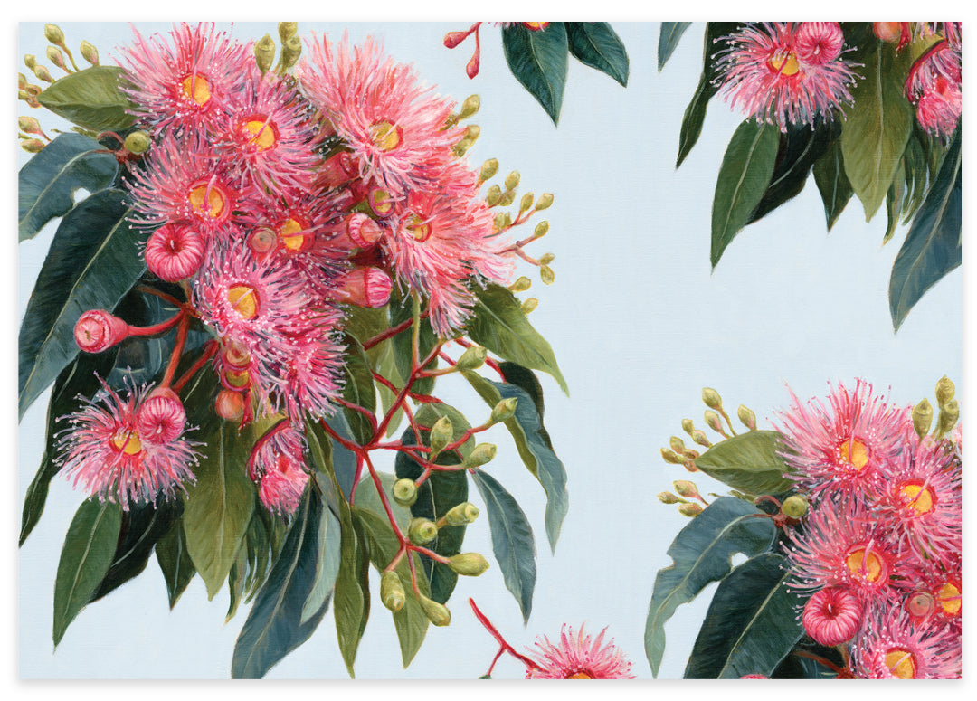 Earth Greetings - Recycled Folded Wrapping Paper | Summer Gumflowers