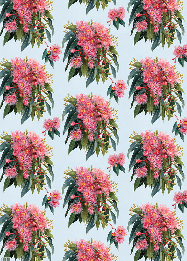Earth Greetings - Recycled Folded Wrapping Paper | Summer Gumflowers