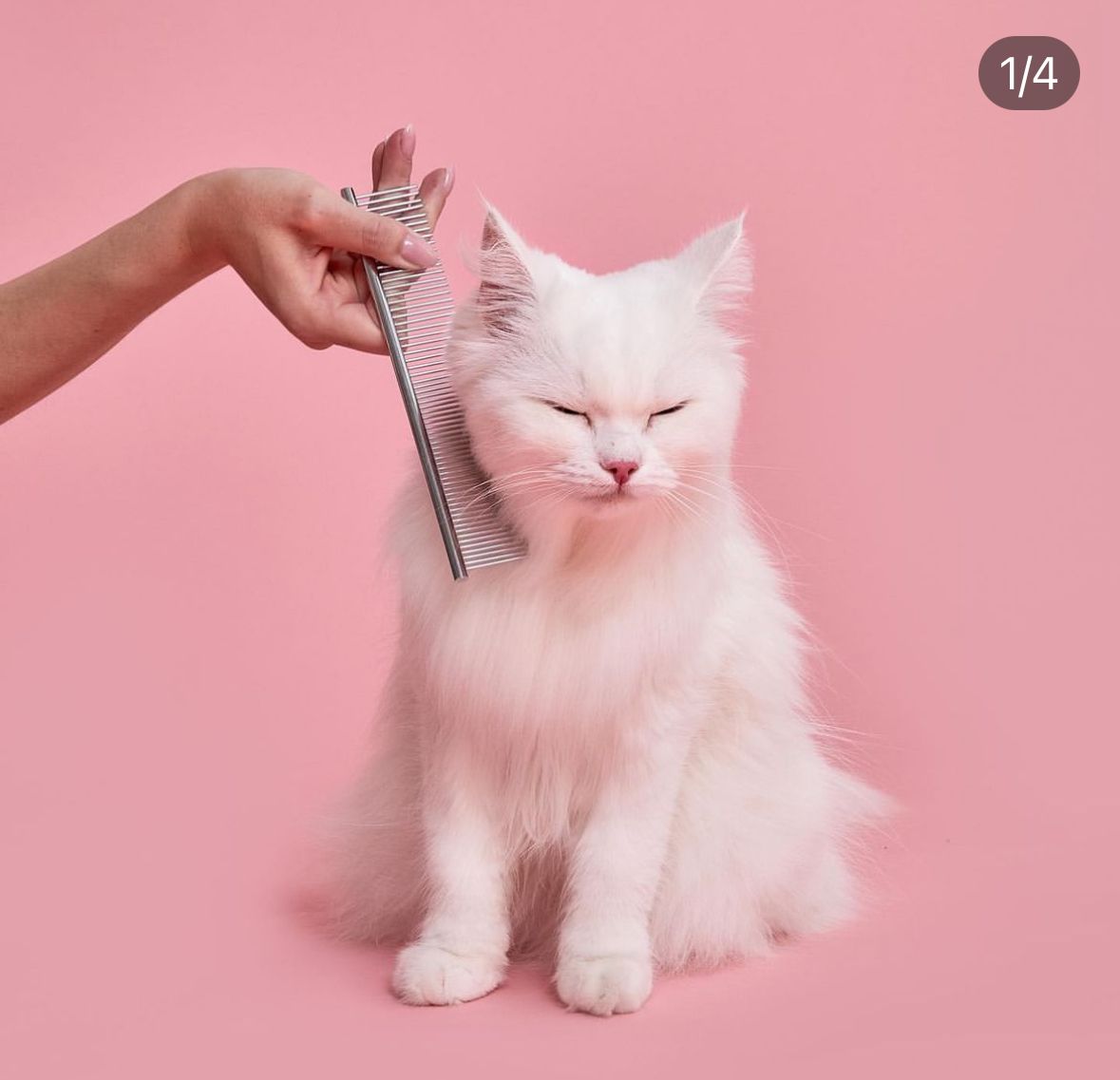 Flea Repellent