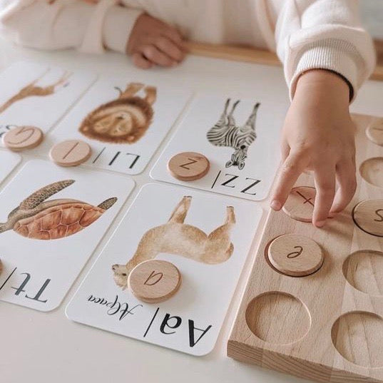 Books & Toys