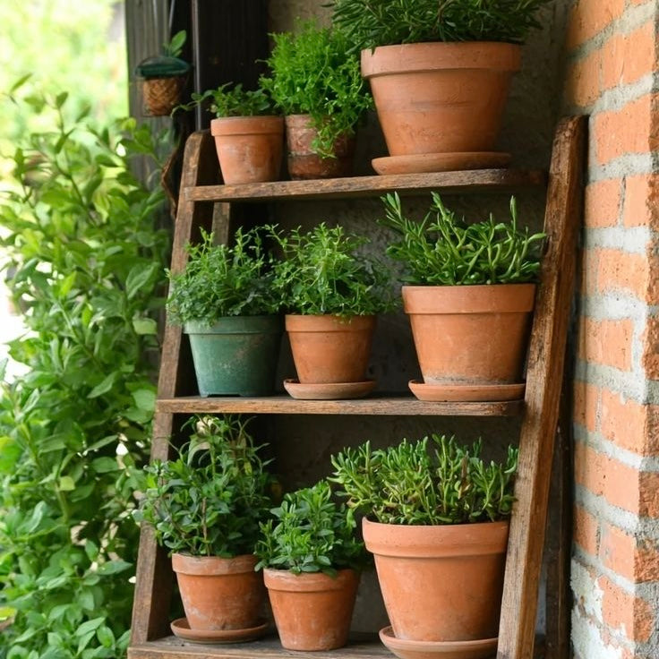 Compost & Garden
