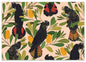 Earth Greetings - Recycled Folded Wrapping Paper | Cockatoos & Banksia
