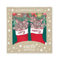 Earth Greetings - Boxed Christmas Cards | Merry Possums