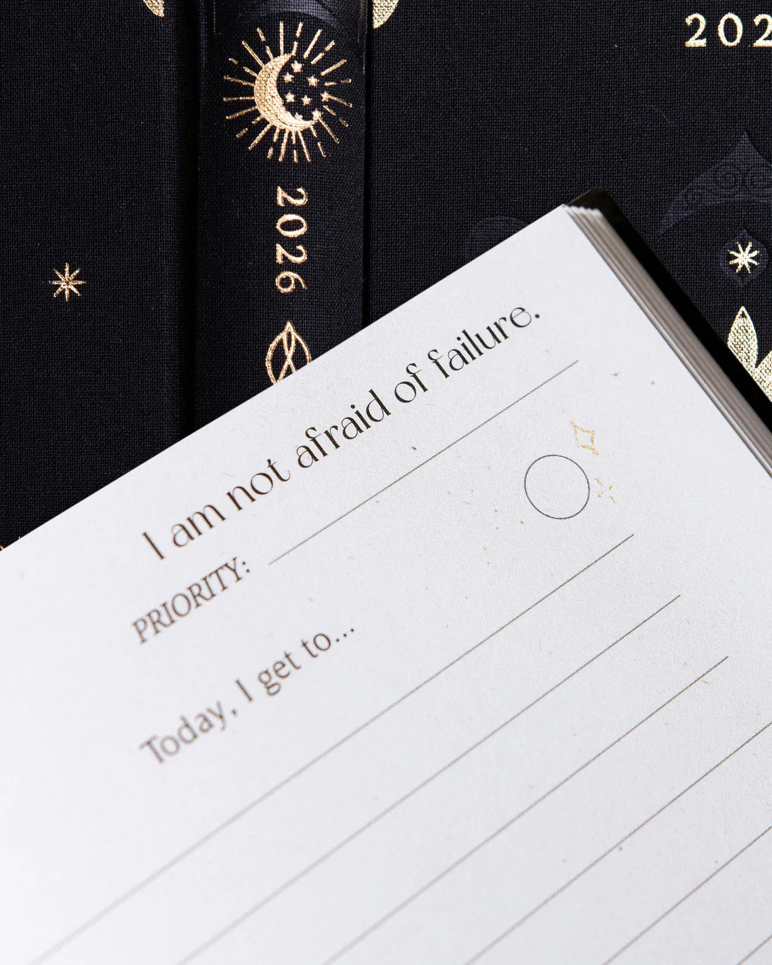 Dreamy Moons - 2026 Daily Planner (Vintage Rose)