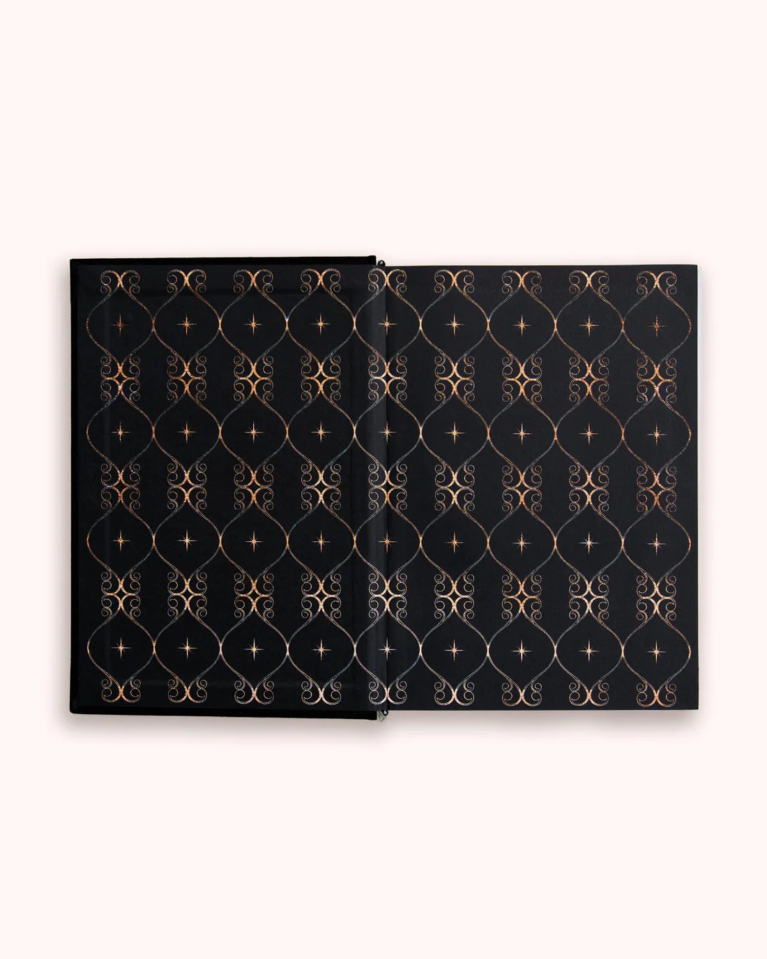 Dreamy Moons - 2026 Daily Planner (Vintage Rose)