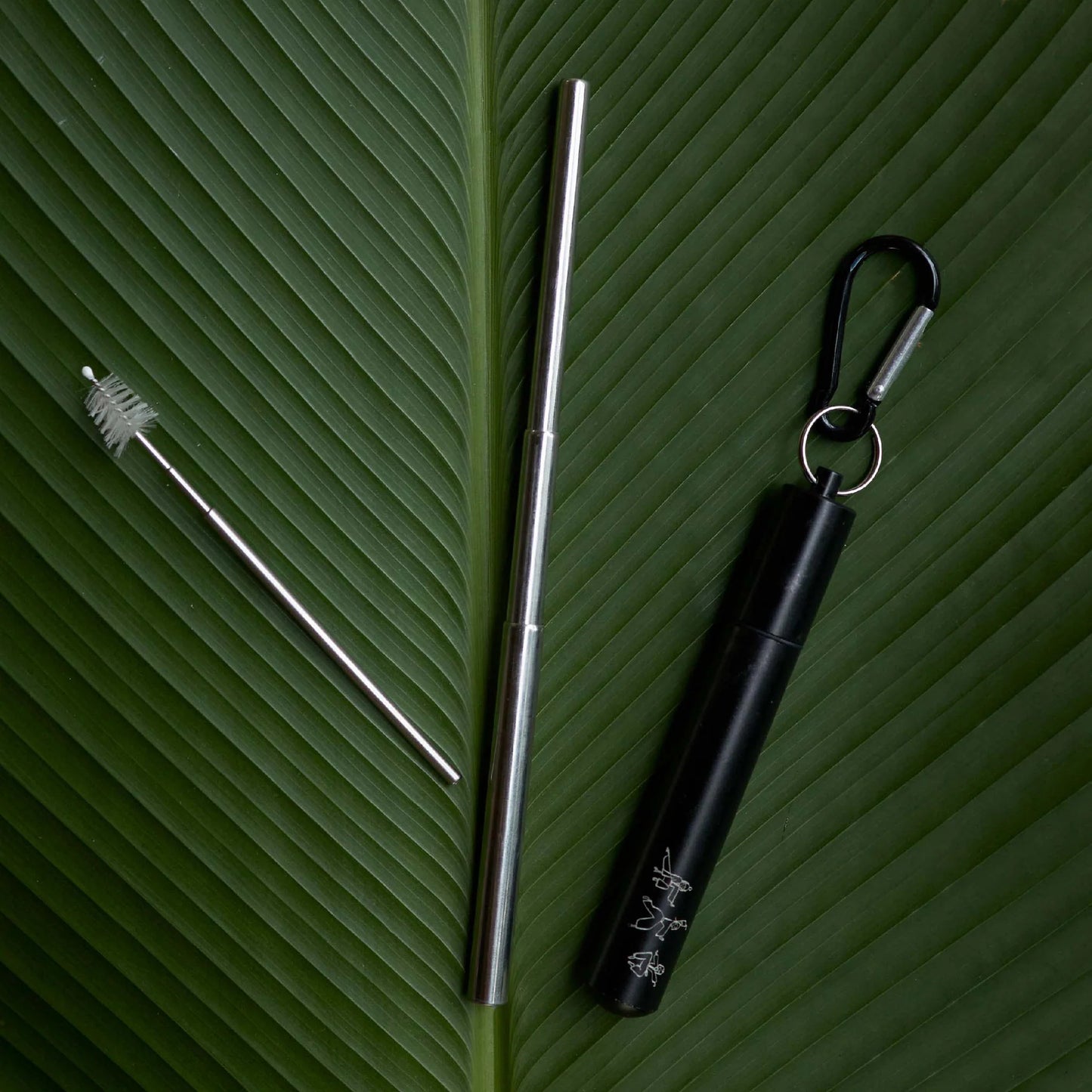 Earth Ninja - Collapsible Straw