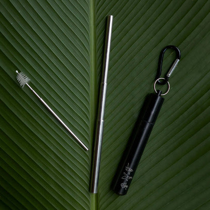 Earth Ninja - Collapsible Straw