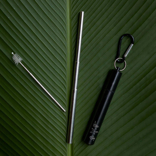 Earth Ninja - Collapsible Straw