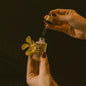 Eco by Sonya Driver - Glory Oil