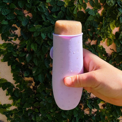 Ever Eco Popsicle Moulds