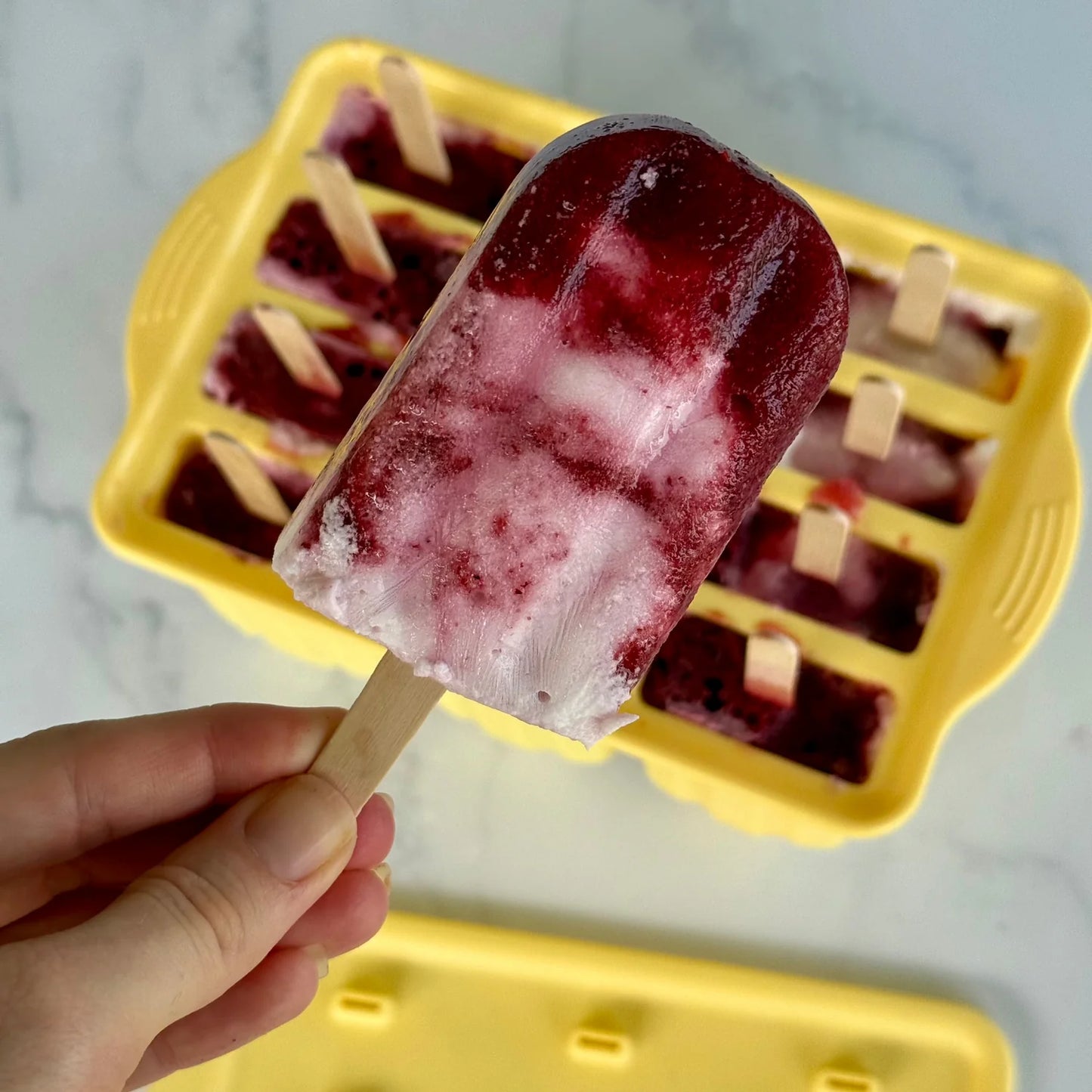 Ever Eco Popsicle Moulds