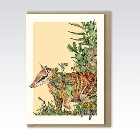 Marini Ferlazzo - Numbat Greeting Card