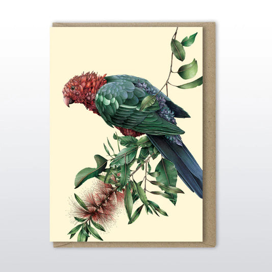 Marini Ferlazzo - Australian King Parrot Greeting Card