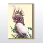 Marini Ferlazzo - Pink Cockatoo Greeting Card